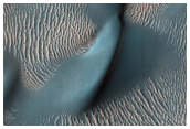 Dune di sabbia e ondulazioni nel cratere Proctor