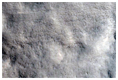 Окольцовывающий вал и выброс очень молодого ударного кратера диаметром 7 километров