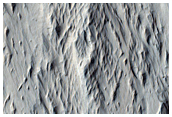 Terrain in Amazonis Planitia