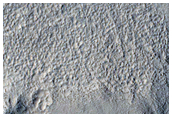 Ridged Texture on Lobate Features in Utopia Planitia