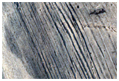 Possible Quasi-Periodic Bedding in Tithonium Chasma