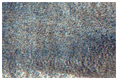 Northern Plains Terrain