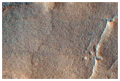 Gully Without Apron