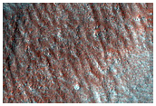 Monitoring New Impact Site