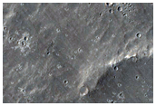 Flows in Southern Elysium Planitia