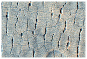 Ring Depressions in Scalloped Terrain