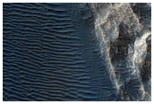 Bedrock-Ripple Interaction in Iani Chaos