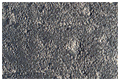 Possible Phyllosilicates in Fan