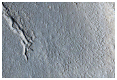 Gully Monitoring