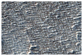 Pedestal Crater Near Arsia Mons