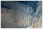 USGS Dune Database Entry Number 0795 196