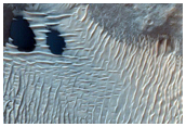 Dunes and Well-Exposed Bedrock