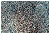 Vastitas Borealis Terrain Sample