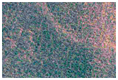 High-Latitude Terraced Crater
