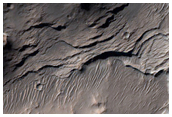 Light-Toned Layers Exposed in Terra Sirenum Crater Ejecta