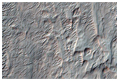 Конус выноса в кратере Родди