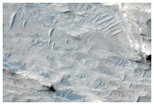 Candidate Landing Site for 2020 Mission