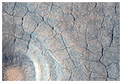 Modified Craters in Utopia Planitia
