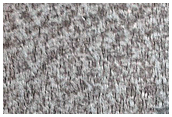 North Polar Residual Cap