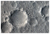 Contact in Isidis Planitia