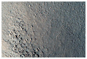 High Thermal Inertia Knob
