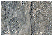 Branching Ridges in Western Arabia Terra