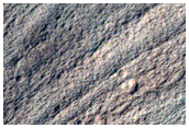 Volatiles and Gullies