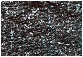 North Polar Layered Deposit Trough and Residual Cap