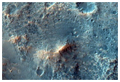 Omega Olivine Detection
