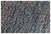 Edge of North Polar Dune Field