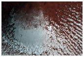 Unusual Seasonal Defrosting