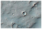 Remnant Dissected Surface