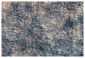 Northern Plains Textures