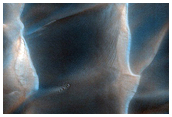 Furrows on Dunes