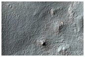 Gully Monitoring