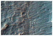 Crater with Sinuous Ridges and Light-Toned Patches