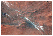 Gullies in Argyre Region