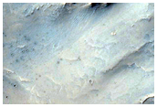 Possible Gullies