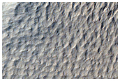 Slope Streak Monitoring in Nicholson Crater