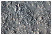 Tempe Terra