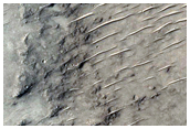 Sinuous Ridge System in Intercrater Terrain