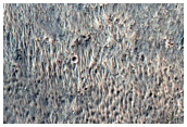 Curvilinear Intersecting Ridges in Arrhenius Crater