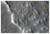 Group of Lava Flows on Olympus Mons