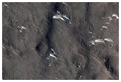Ridges in Utopia Planitia