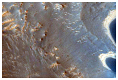 Dunes with Light Lower Slopes in CTX Image