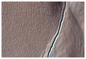 Gully Monitoring