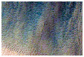 Gully Monitoring
