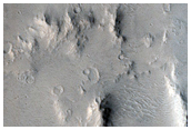 Mounds Around Apollinaris Mons