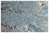 Gully Monitoring in Palikir Crater