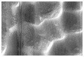 USGS Dune Database Entry Number 1341-608